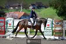 ref. photo 3552210