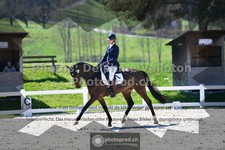 ref. photo 3552224