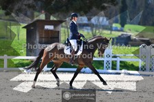 ref. photo 3552229