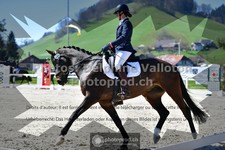 ref. photo 3552234