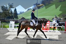ref. photo 3552235