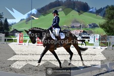 ref. photo 3552237