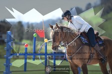 ref. photo 3552262