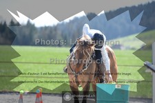 ref. photo 3552263