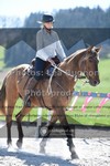 ref. photo 3552267