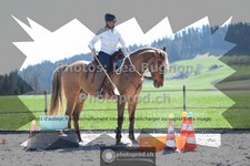 ref. photo 3552274