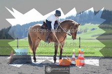 ref. photo 3552276