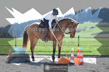 ref. photo 3552277
