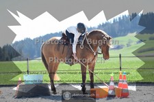 ref. photo 3552278