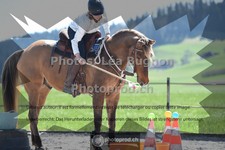 ref. photo 3552279