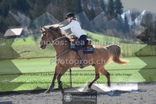ref. photo 3552285