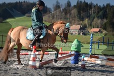 ref. photo 3552291