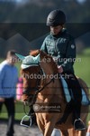 ref. photo 3552293
