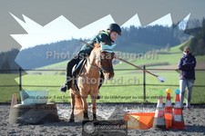 ref. photo 3552298