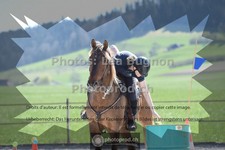 ref. photo 3552307