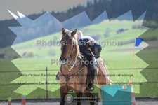 ref. photo 3552308
