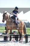 ref. photo 3552313