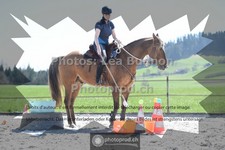 ref. photo 3552315