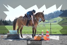 ref. photo 3552317