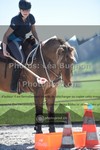 ref. photo 3552321