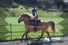 ref. photo 3552328