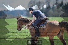 ref. photo 3552332
