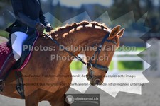 ref. photo 3552348