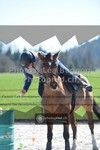 ref. photo 3552366