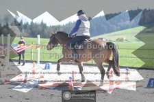 ref. photo 3552386