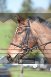 ref. photo 3552389