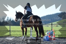 ref. photo 3552403