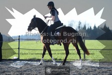 ref. photo 3552405