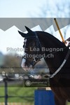 ref. photo 3552408