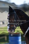 ref. photo 3552411