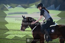 ref. photo 3552438