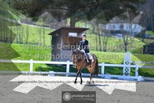 ref. photo 3552440