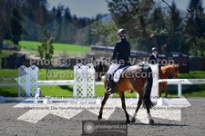 ref. photo 3552441