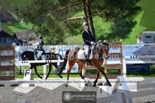 ref. photo 3552449