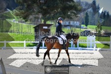 ref. photo 3552450