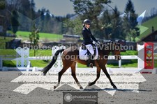 ref. photo 3552451