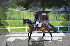 ref. photo 3552457
