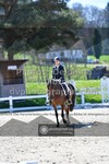 ref. photo 3552459
