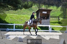 ref. photo 3552464