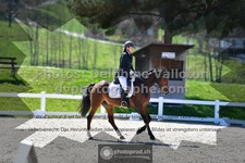 ref. photo 3552465