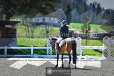 ref. photo 3552472