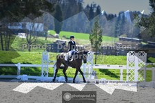 ref. photo 3552491