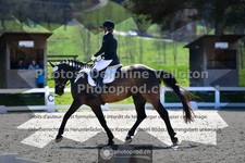 ref. photo 3552494