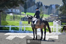 ref. photo 3552500