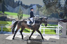 ref. photo 3552503