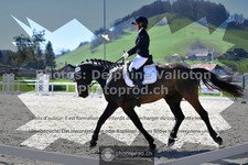ref. photo 3552506